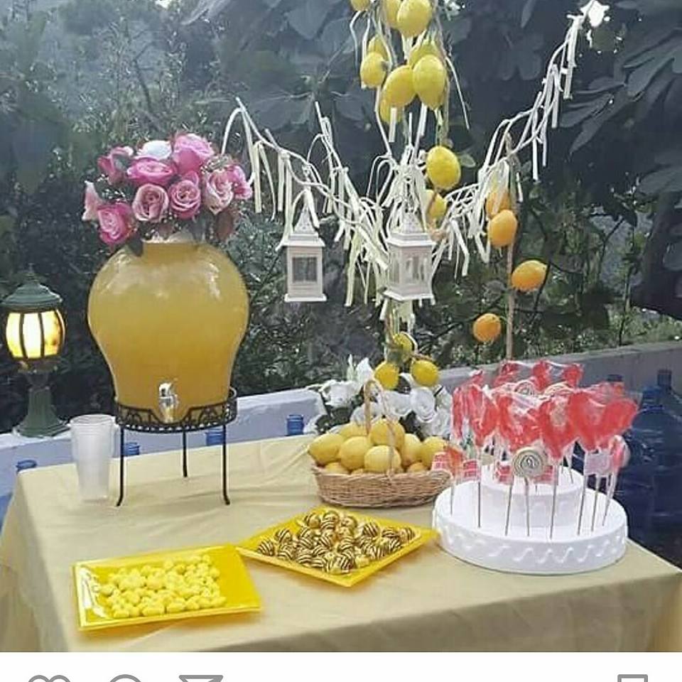 piknik organizasyonu