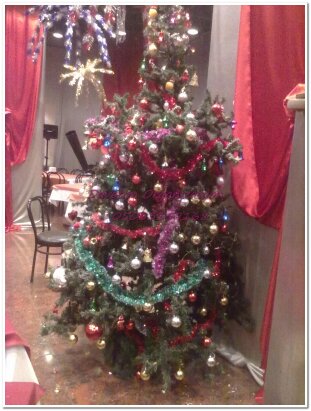 yeniyıl ağacı kiralama