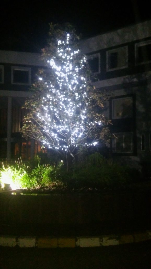 yılbaşı organizasyonu